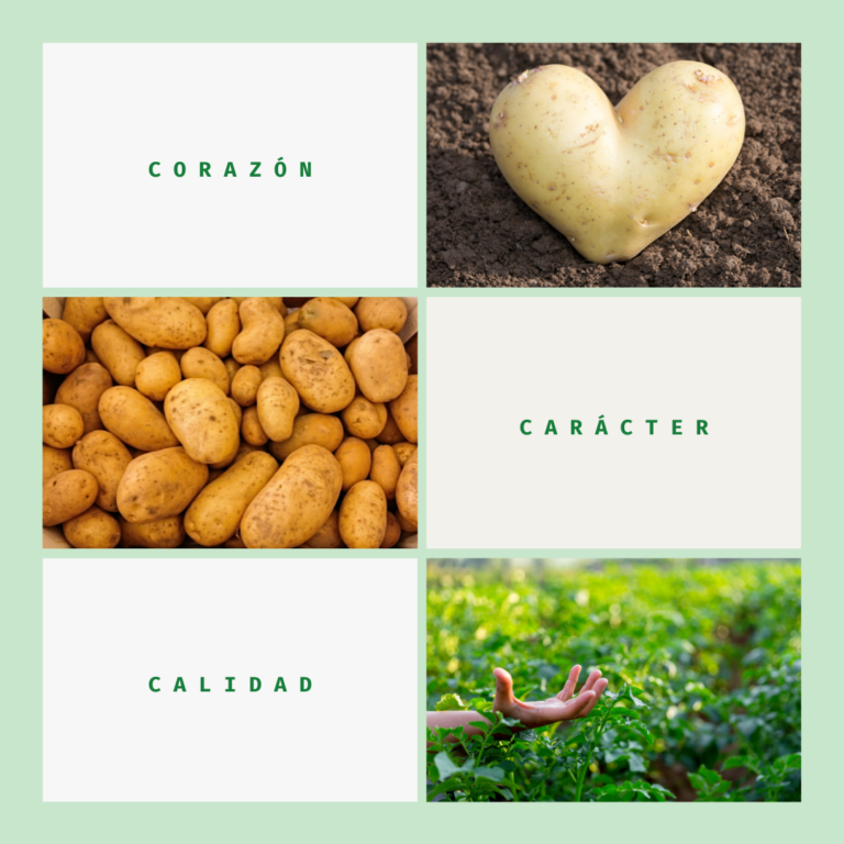 PATATAS con CORAZÓN, CARÁCTER y CALIDAD 1 Patatas con corazón, carácter y calidad
