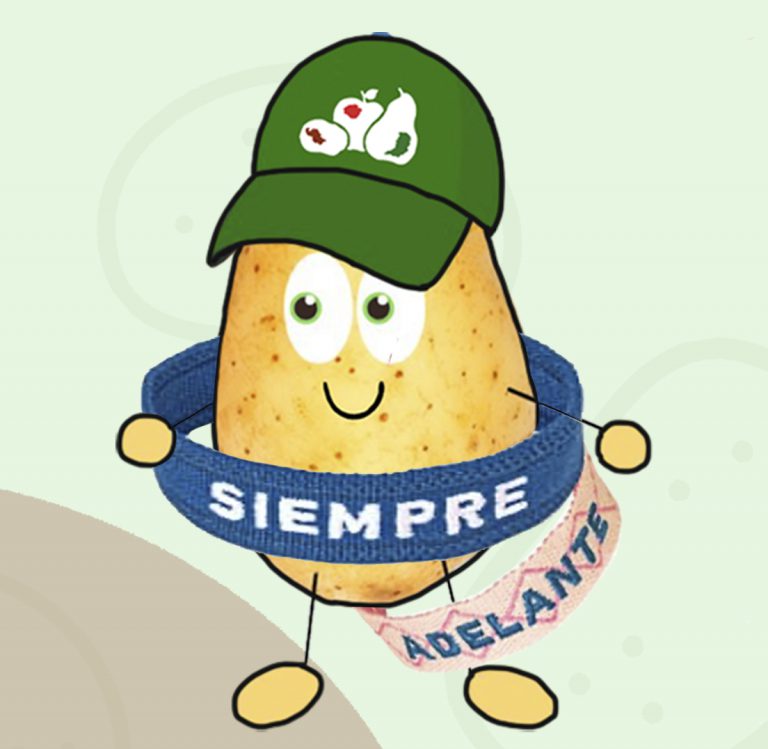 Tienda solidaria de la Asociación Española contra el Cáncer 1 Eduardo Sanz - Patatas