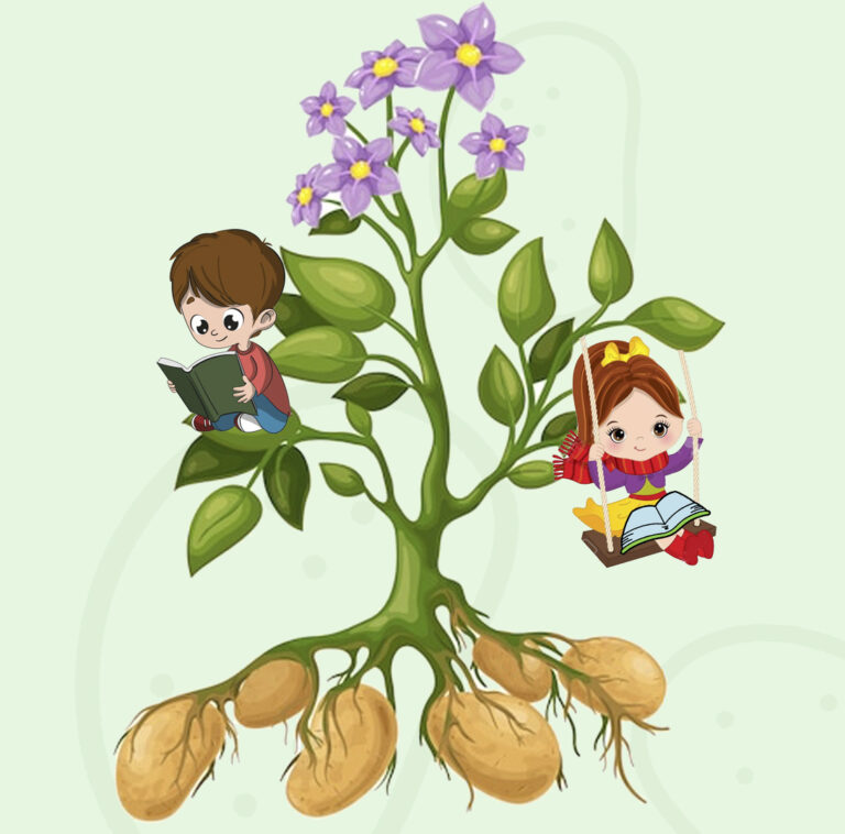 Logotipo Eduardo Sanz - Patatas IV y V Gama | Patatas Consumo y Siembra