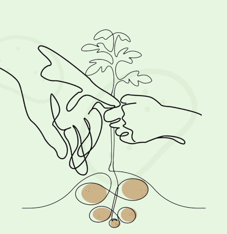 Logotipo Eduardo Sanz - Patatas IV y V Gama | Patatas Consumo y Siembra