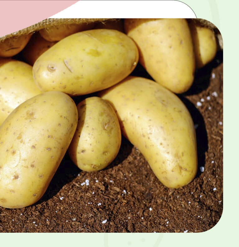 Corazón, Carácter y Calidad 1 Bolsa de patatas fritas Eduardo Sanz, especial para freir, marca Andalucía Verde.