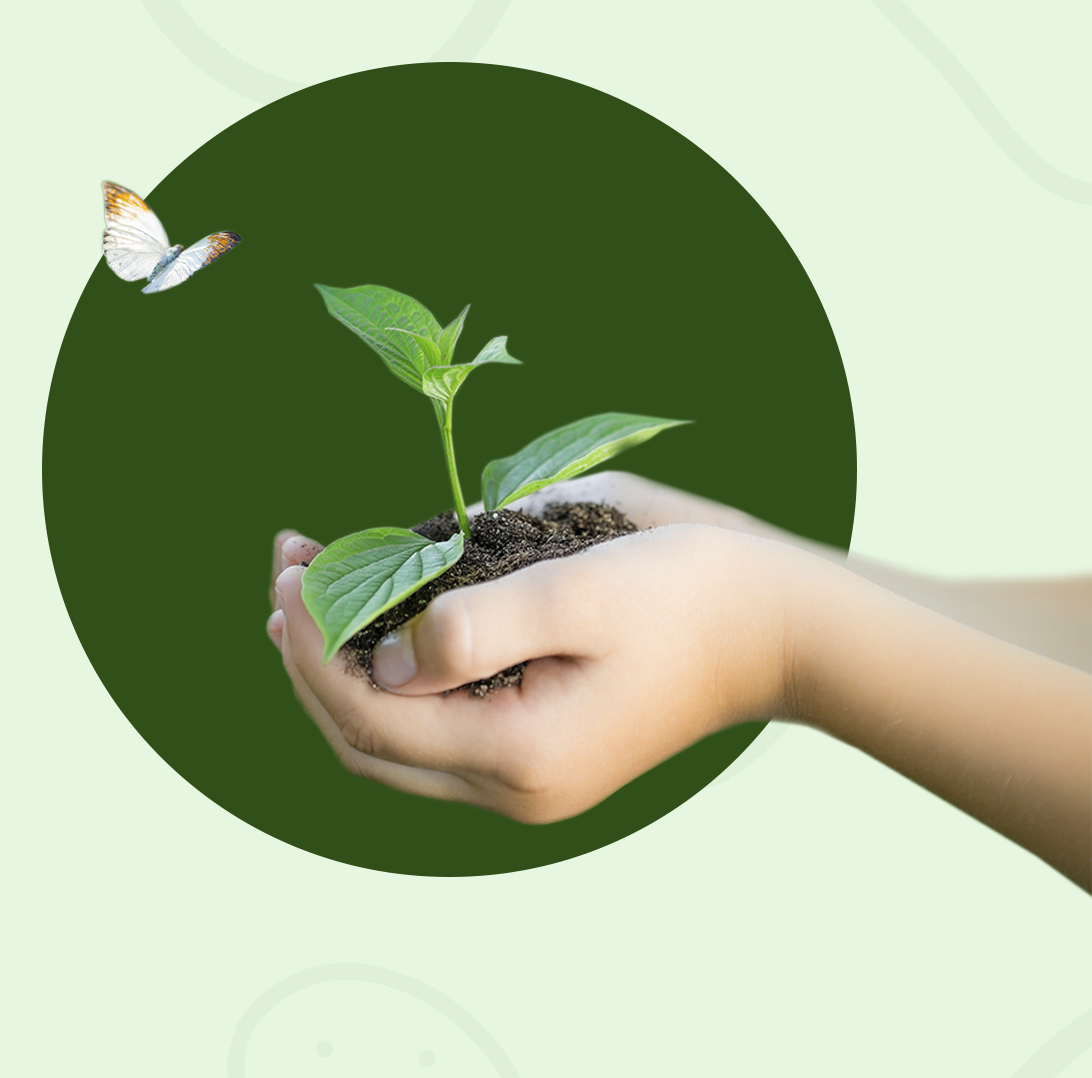 Logotipo Eduardo Sanz - Patatas IV y V Gama | Patatas Consumo y Siembra