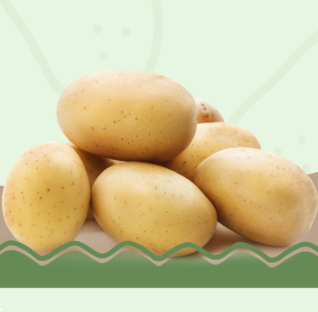 Logotipo Eduardo Sanz - Patatas IV y V Gama | Patatas Consumo y Siembra