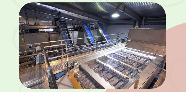 sistema de clasificaci&oacute;n &oacute;ptico de patatas