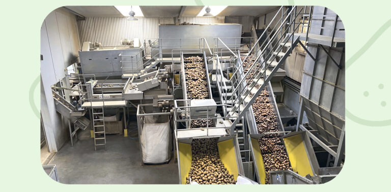 Logotipo Eduardo Sanz - Patatas IV y V Gama | Patatas Consumo y Siembra