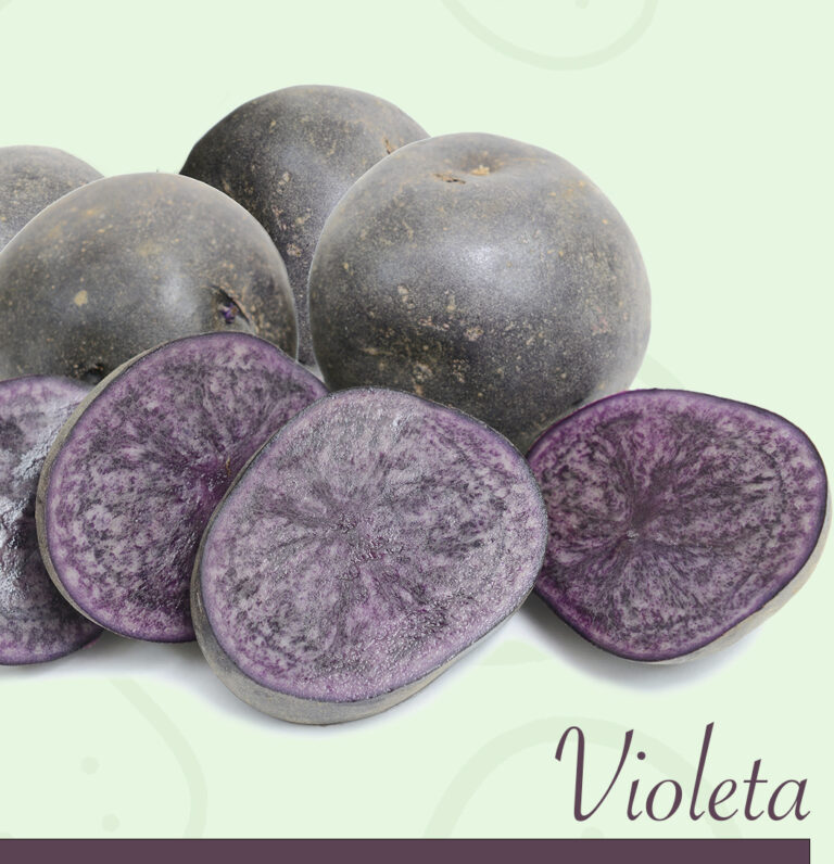 Patatas violeta 1 Patatas violetas