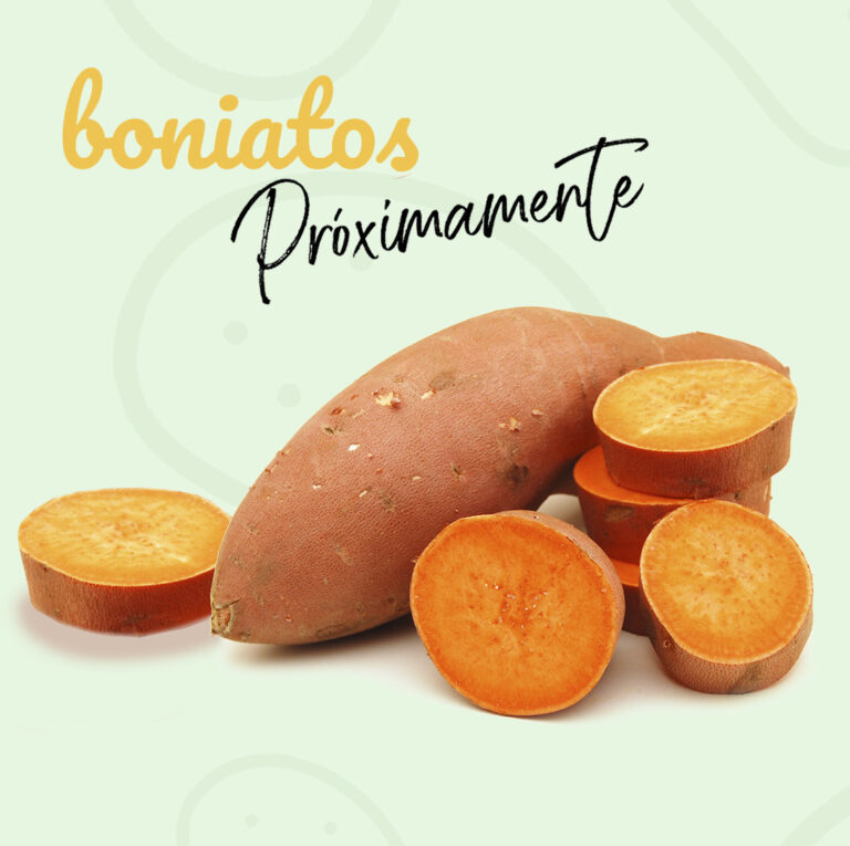 Boniatos, próximamente... 1 Proximamente boniatos