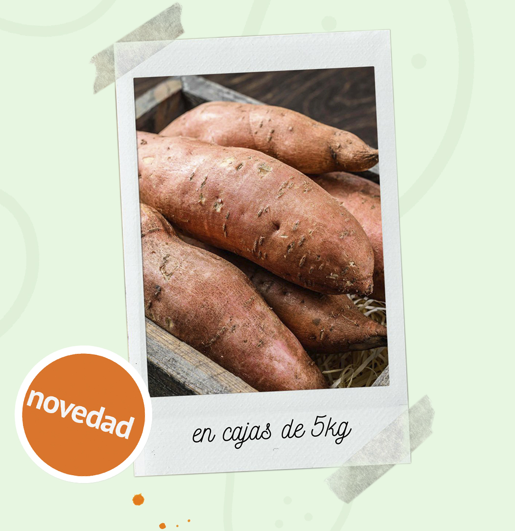 Novedad caja de boniato 5kg