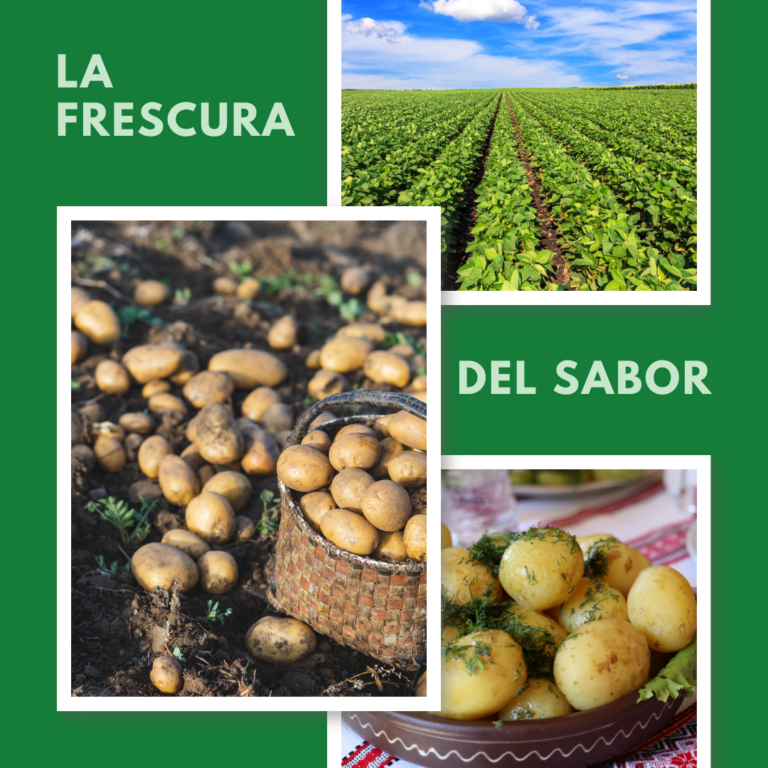 Cartel de La Frescura Del Sabor